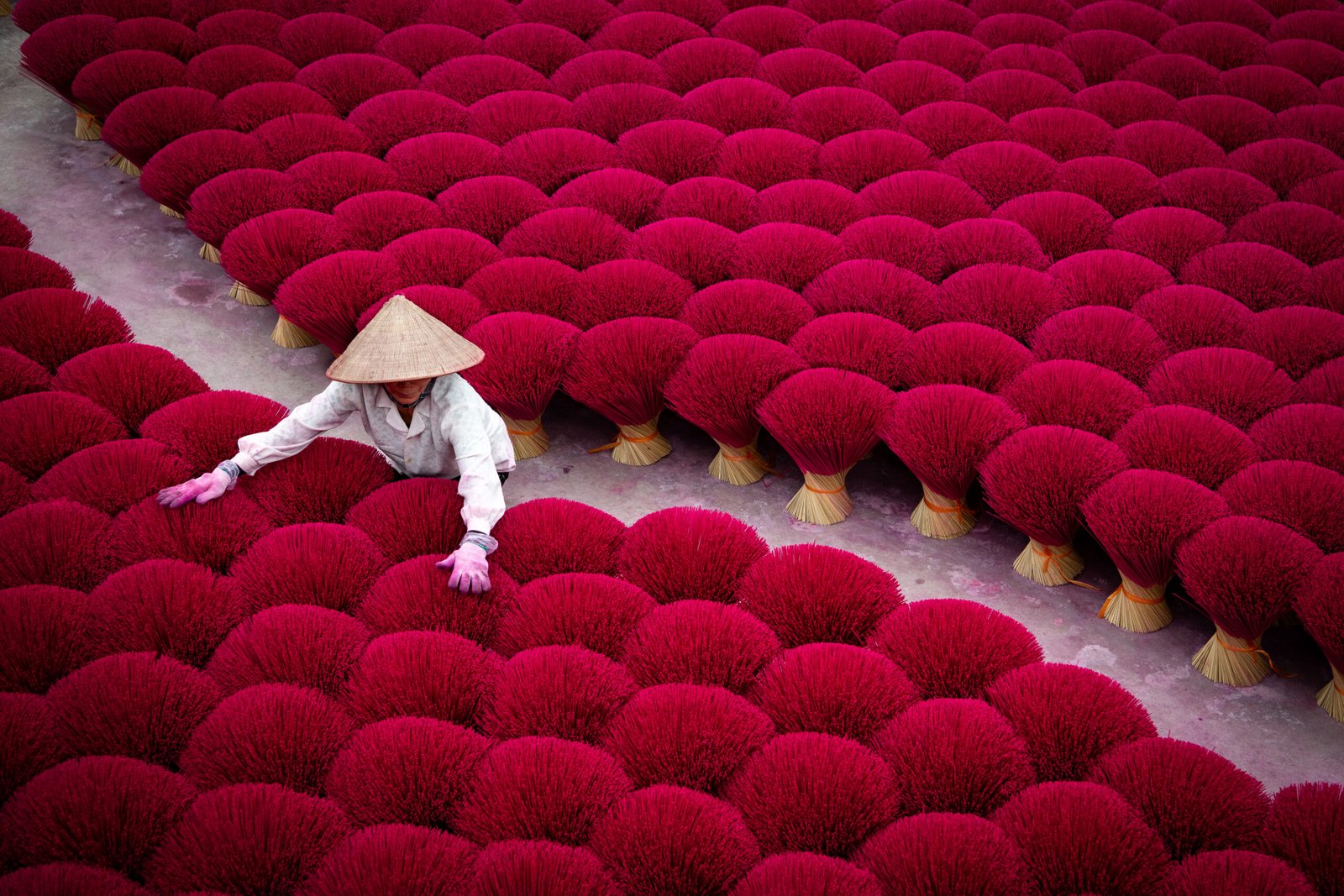 Woman in a conical hat arranging bundles of red incense sticks drying in rows, in an incense-making village near Hanoi.